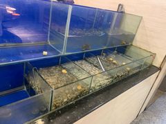 -名羊天下·火锅烧烤自助料理(镇明路店)