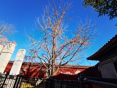 -北京石刻艺术博物馆(五塔寺)