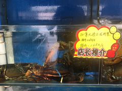 -蚝专家(北滘店)