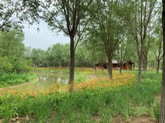 -东郊湿地公园