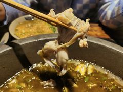 -石锅苗苗鱼(武汉首店)