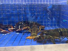 -外滩·云南人家(昆明旗舰店)