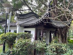 -深圳国际园林花卉博览园