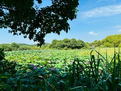 -东钱湖旅游度假区