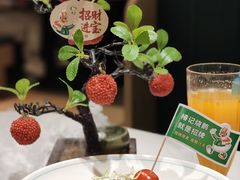 -椿记烧鹅(叠彩店)