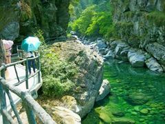 -石台牯牛降景区