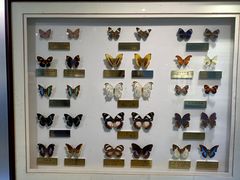 -上海昆虫博物馆