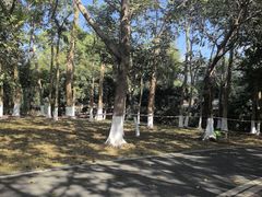 -凤岗南门山森林公园