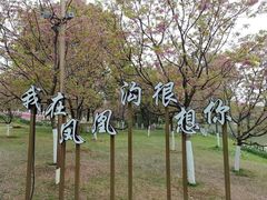 -凤凰沟景区