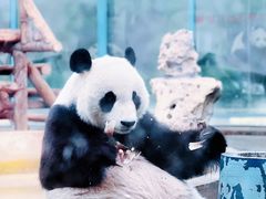 -天津市动物园