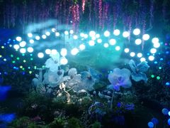 -大塘金香草谷