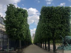 -杜乐丽花园