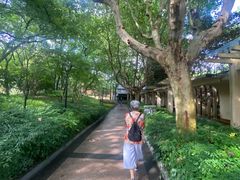 -徐家汇源景区-衡山公园