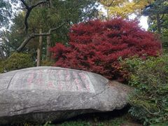 -庐山风景区花径公园
