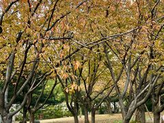 -苏州河梦清园环保主题公园