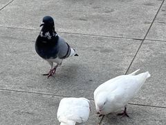 -海河外滩公园