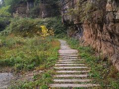 -鹿院坪生态旅游景区