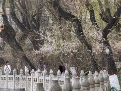 -文瀛公园