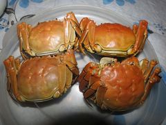 -丫丫蟹庄·苏式园林农家乐·阳澄湖大闸蟹(阳澄湖莲花岛店)