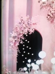 -红丝高端婚礼中心(旗舰店)