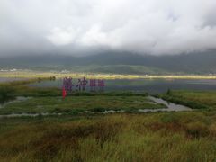 -腾冲北海湿地