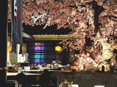 -桂满陇-西湖船宴(西单大悦城店)