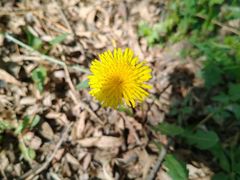 -野鸭湖国家湿地公园