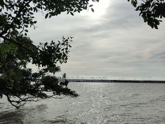 -宝安西湾红树林湿地公园