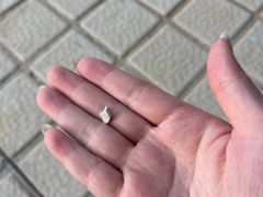 -黄金海岸水上乐园