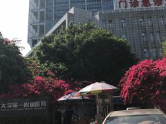 -广西医科大学第一附属医院