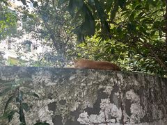 -明月东一酒店·菲斯特自助餐厅