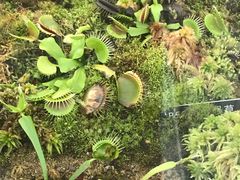 -国家植物园南园