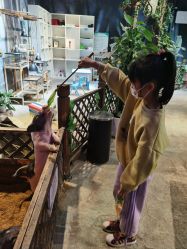 -酷嗒动物文化乐园(cutezoo西溪乐天城店)