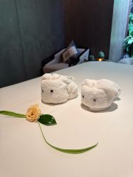 -VELEE·SPA高定疗愈会所