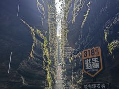 -梭布垭石林景区