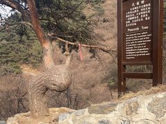 -金龙寺国家森林公园