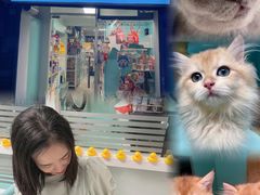 -猫宠乐园·专业洗护