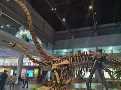 -自贡恐龙博物馆