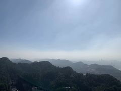 -大金鹰园