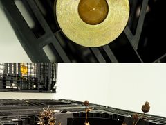 -胶囊画廊