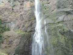 -Multnomah Falls Lodge Restaurant