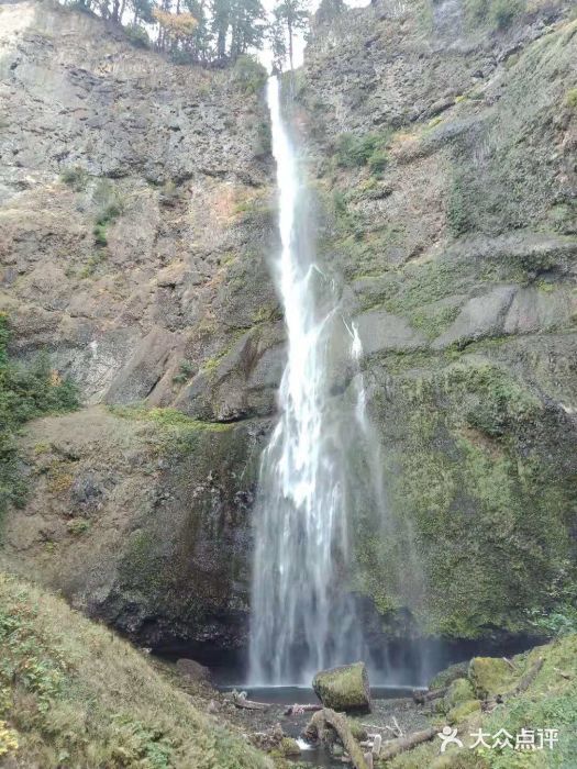 Multnomah Falls Lodge Restaurant图片