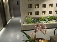 -施奈儿.洗头頭療.按摩SPA.采耳(上梅林店)