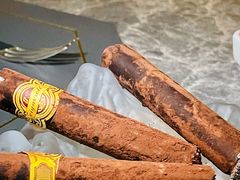 -Hi City·城市之巅