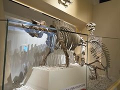 -国家自然博物馆