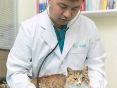 -美迦爱-牙专科·兔科·骨科诊疗中心(北苑店)