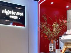 -代数学家algebraist(诚品店)