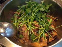 土鸡-九道菜有鸡鱼头(石鼓路店)