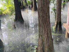 -东湖落雁景区