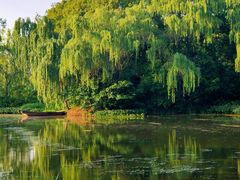 -溱湖国家湿地公园